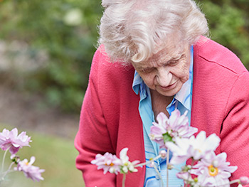 Activities at Larchfield Manor Elderly Care Home